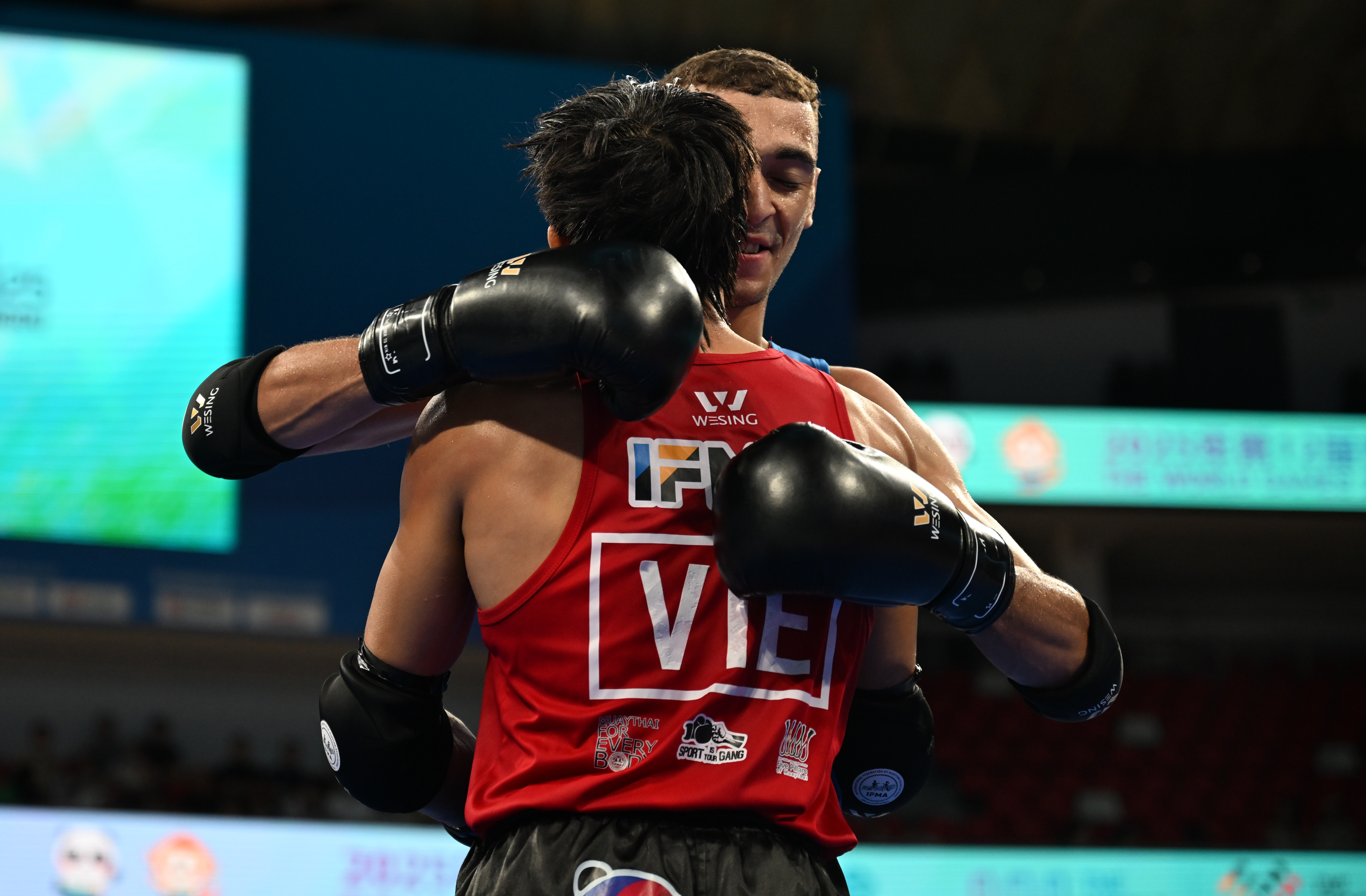 包含泰国运动员斩获多面金牌，实现突破的词条