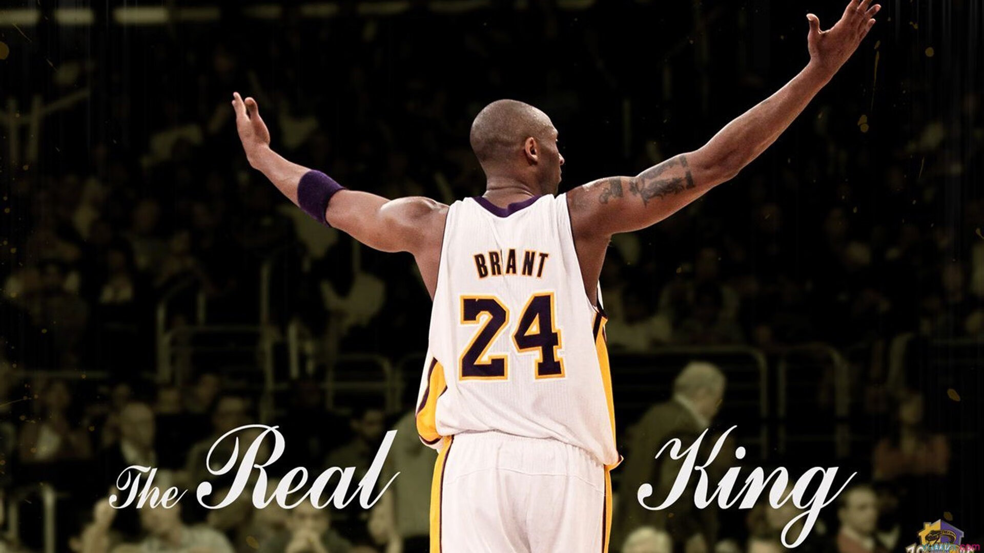 爱游戏体育-当东方虎啸遇见绿衫传奇，布克破纪录之夜，凯尔特人与吉林的跨时空对话