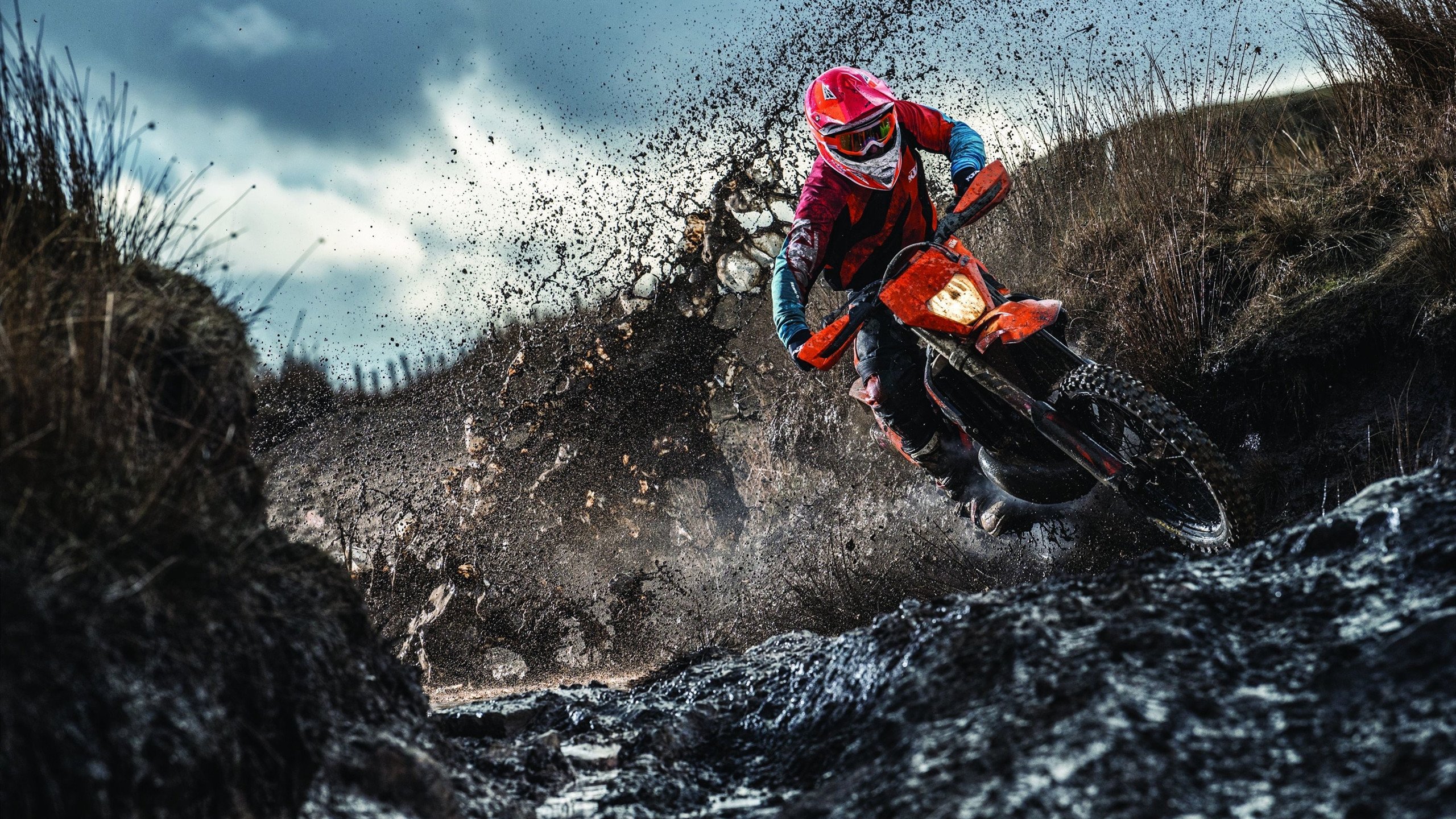 意甲焦点战启示录，雄鹿战术压制掘金的跨体育智慧